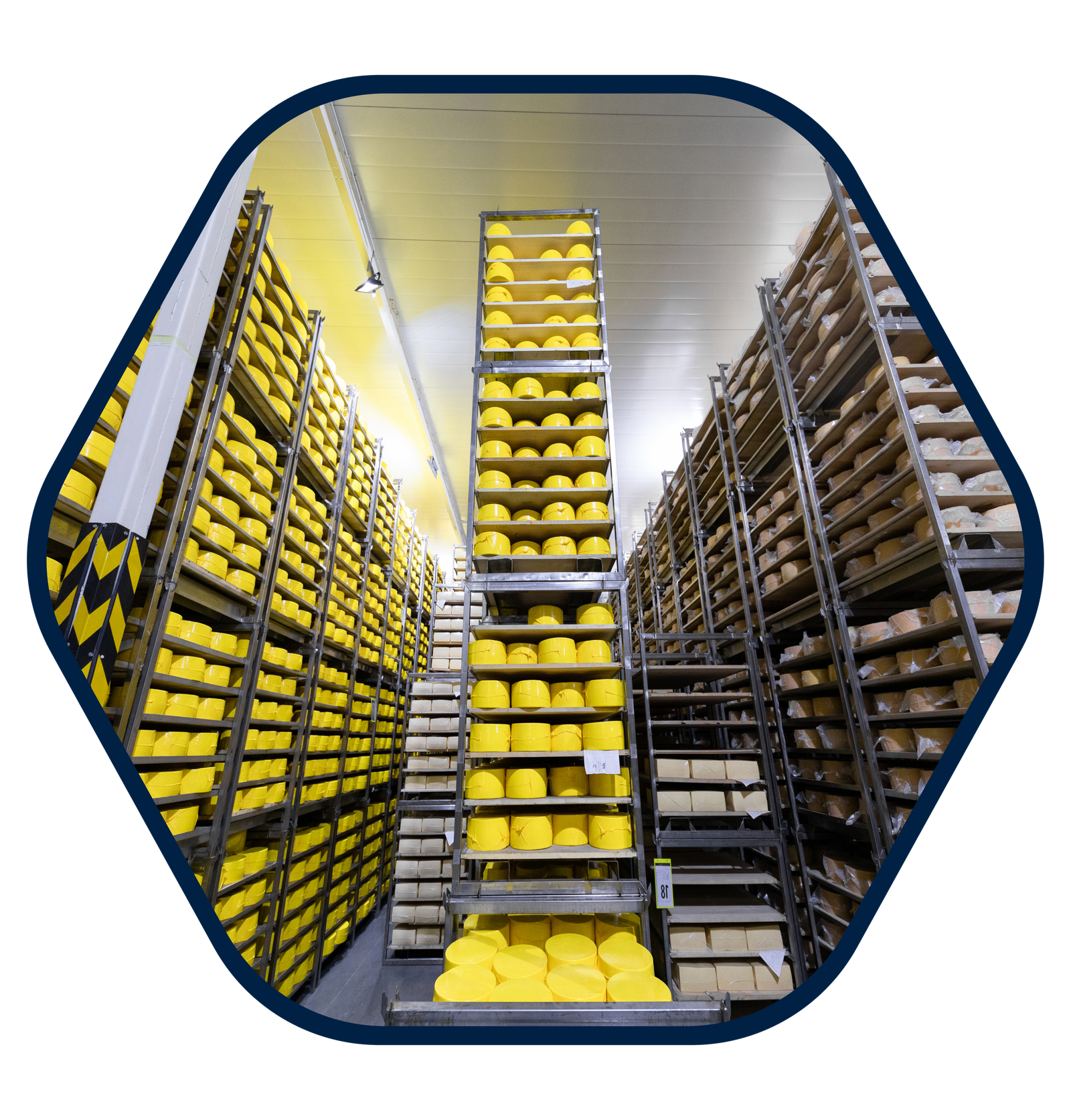 automated storage and retrieval system manufacturers in india